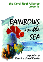 Rainbows in the Sea Cover